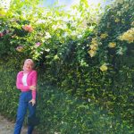 BeautyPlus_20200824184052334_save